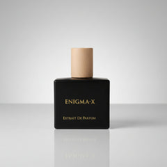 Enigma - X